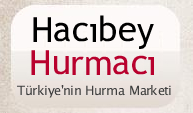 Halil Özkan Hacıbey