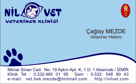 İzmir Alsancak Nilvet