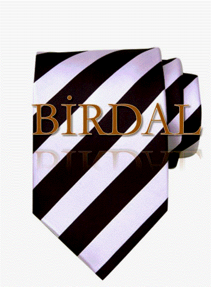 Birdal Kravat Papyon