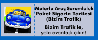 Bizim Trafik