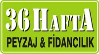 36 Hafta Peyzaj