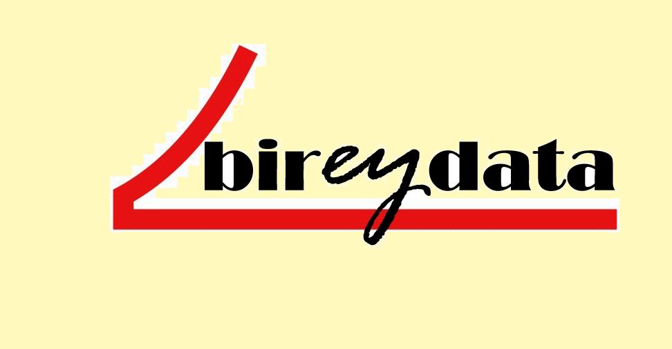 Bireydata İnsan Kaynakları