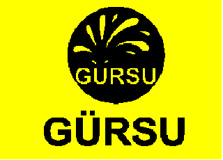 Gürsu Sondaj Su