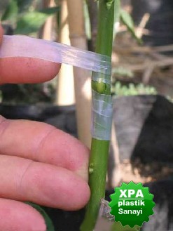 Fidan Aşı Bandı Üreticisi  Xpa Plastik