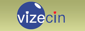 Vizecin.com