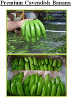 Sunco Agro