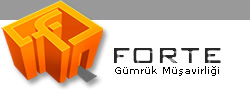 Forte Gümrük Müşavirliği