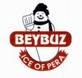 Beybuz Buz İmalatı
