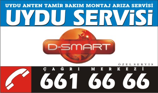 Dsmart