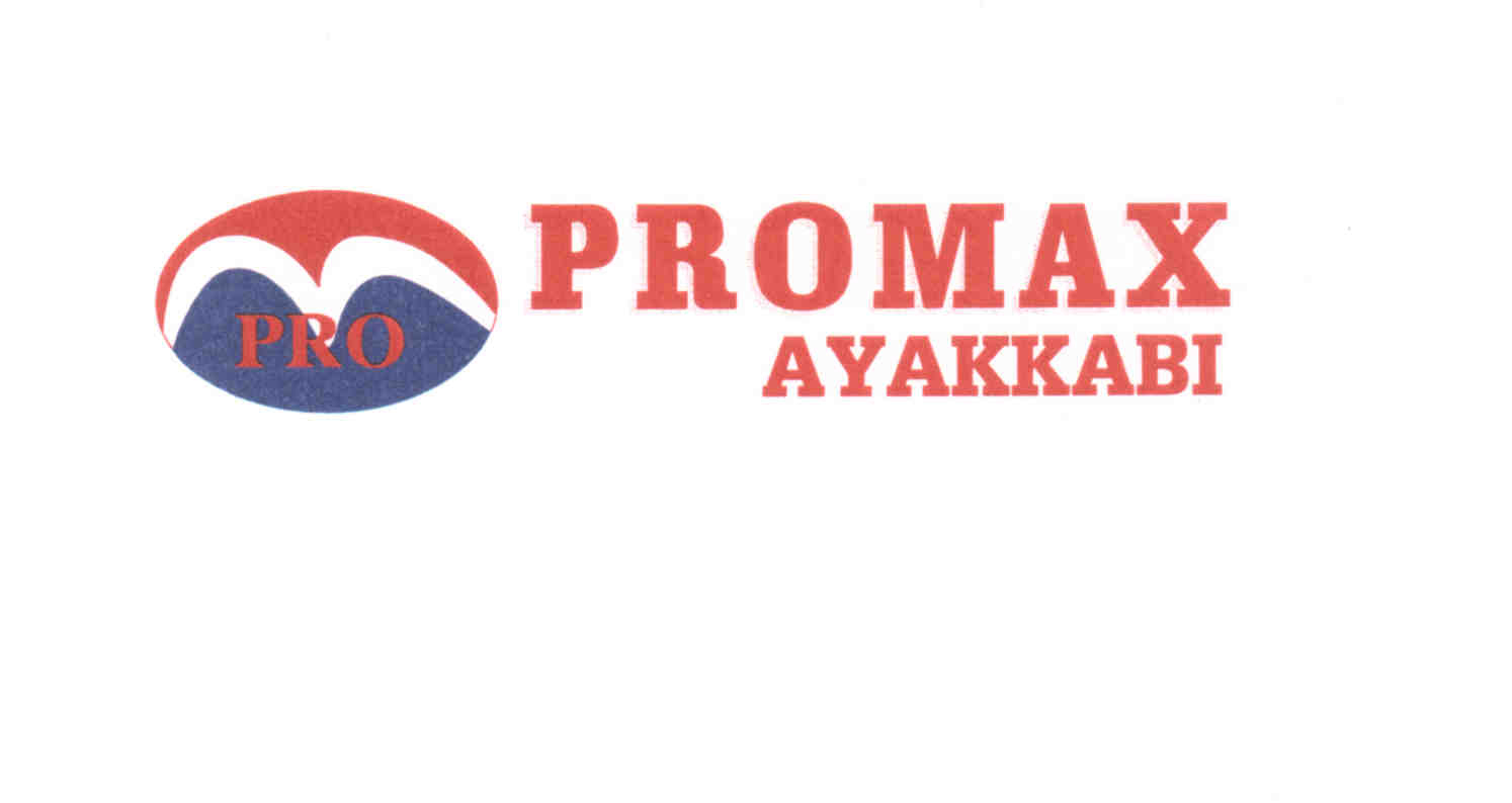 Promax Ayakkabı