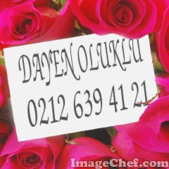 Dayen Amb.gıda Teks.trz.inş.san.ve