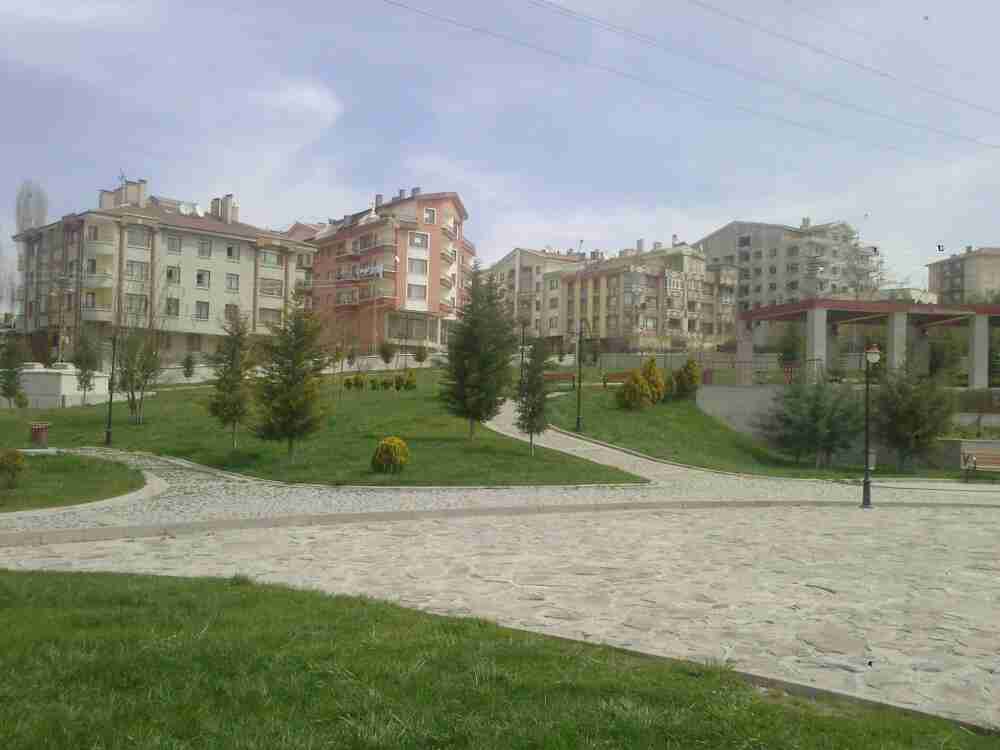 Park Tadilat