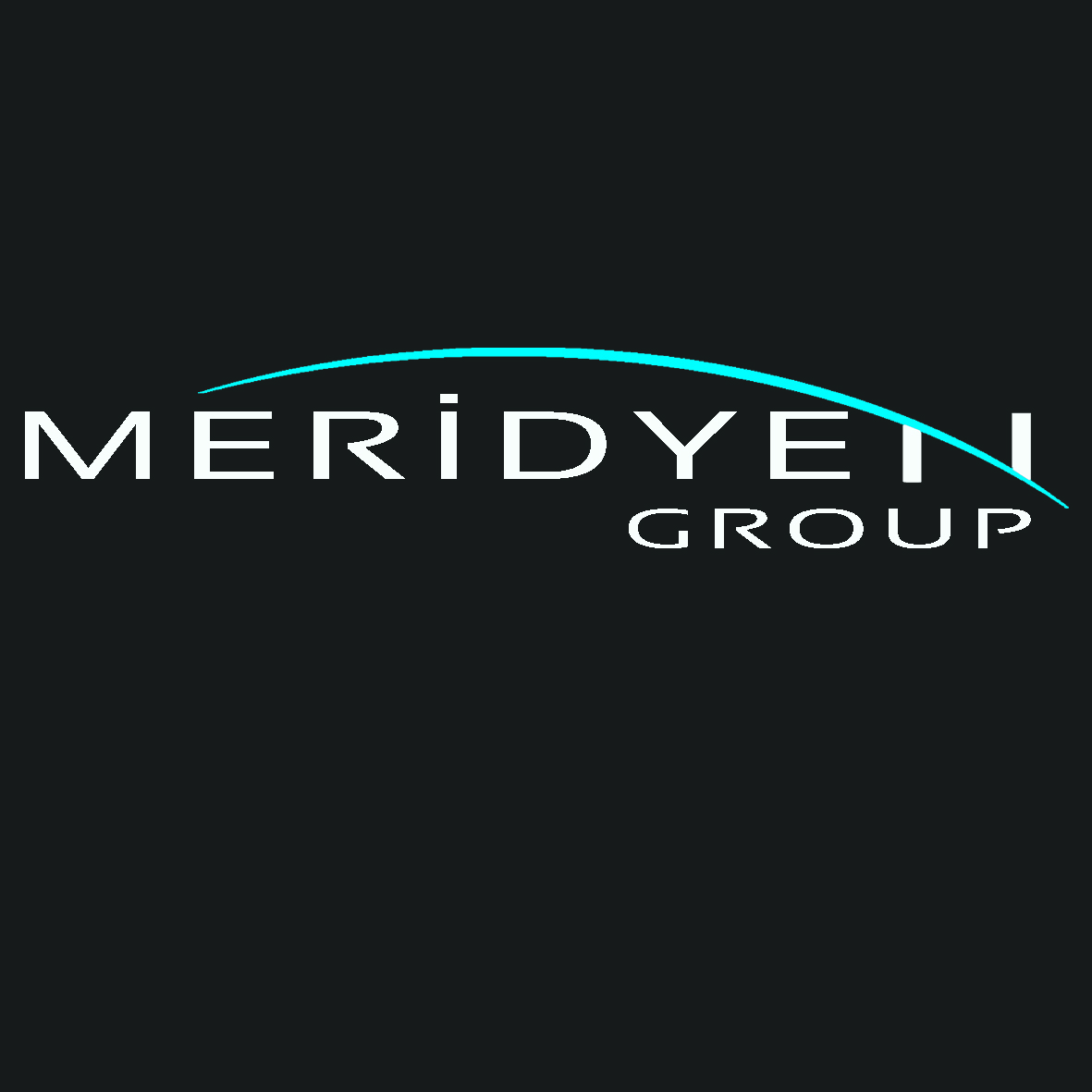 Meridyen Group