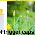 Aerosol Trigger Caps